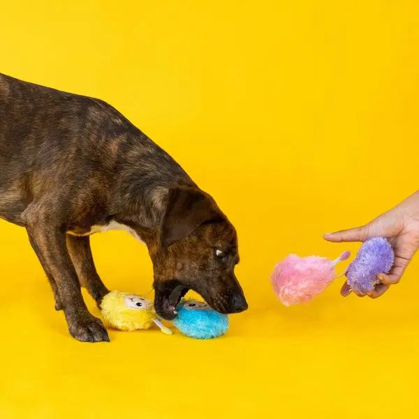 Mini Monster Pals Dog Toys - 4pk