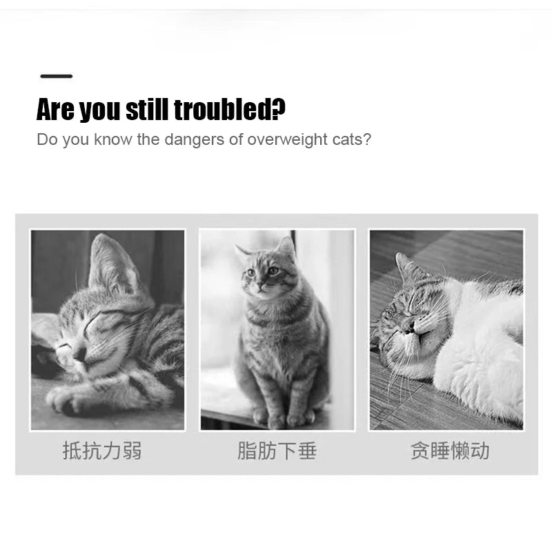 Automatic Accessories Walk Rabbit Pet Intelligent Dog Escaping Kids Sensor Pets Toy Interactive Supplies Cat Toys Infrared For