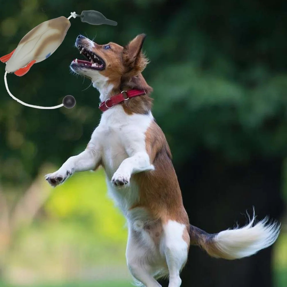 Duck Bumper Toy for Hunting Dogs, Mallard Bird Dummy for Waterfowl Retrieval Training, Puppy & Hunting Dog Training Tool