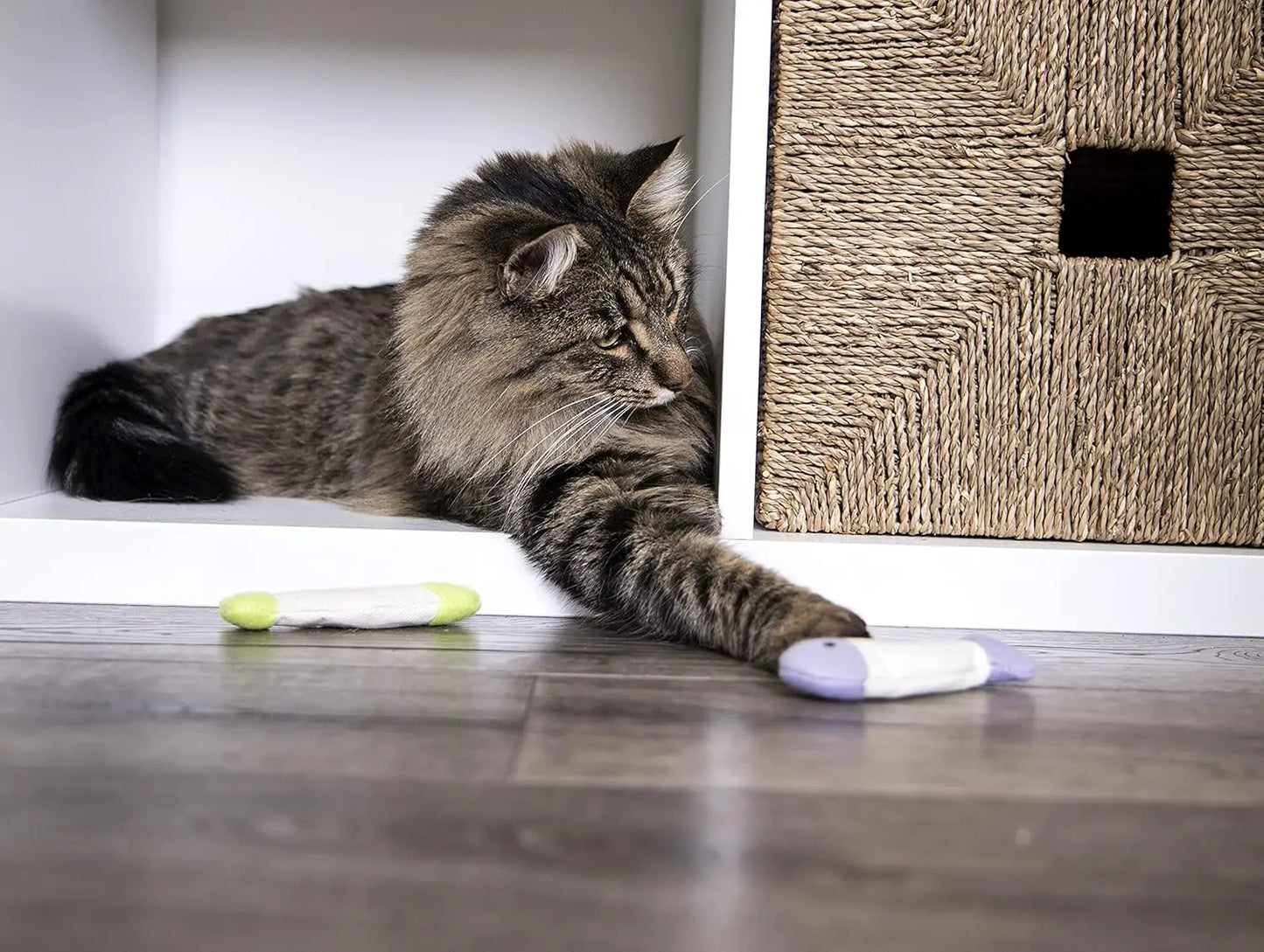 (3 pieces) Fish floor fold cat clip toy - multi-color, 3 pieces