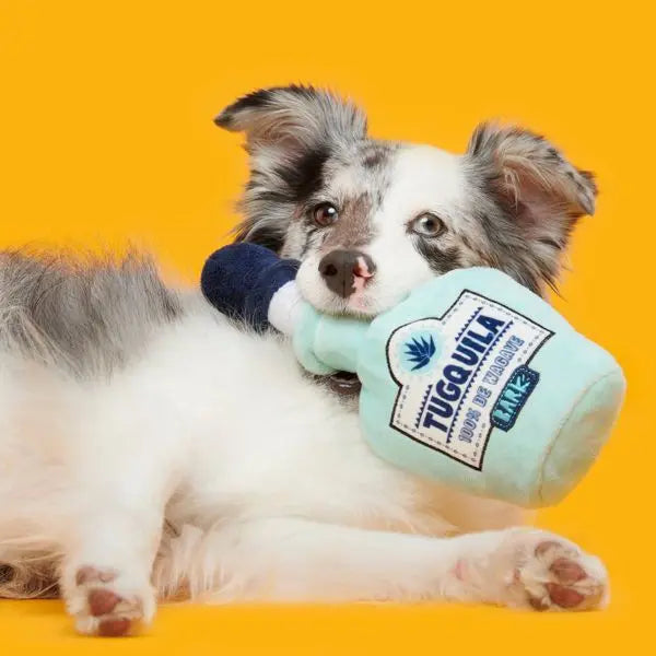 Tug-O-Worm Tugquila Dog Toy