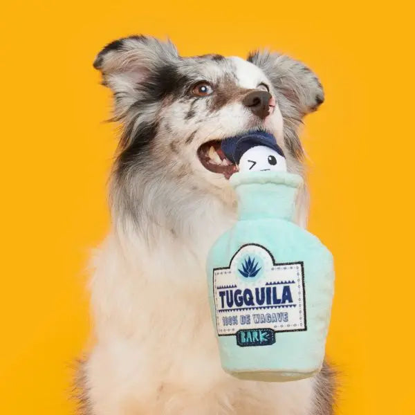 Tug-O-Worm Tugquila Dog Toy