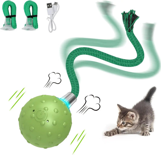 Interactive cat toy designed for adult cats,with automatic fast movement on the carpet,bird calls,and motion activated cat balls