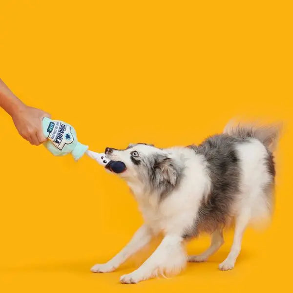 Tug-O-Worm Tugquila Dog Toy