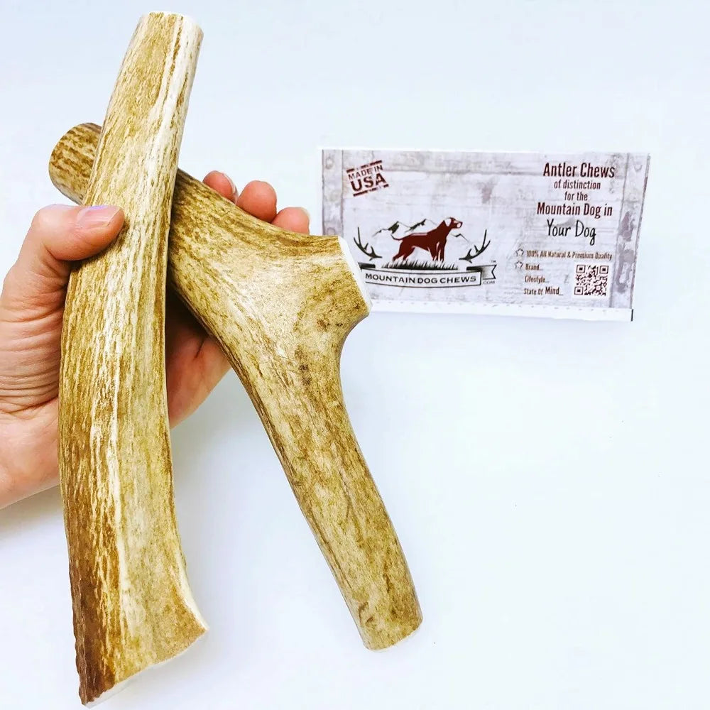 Medium Whole Elk Antler 2 Pack - Elk Antler Dog Chew - Grade A Premium - Organic - Made in USA - No Mess