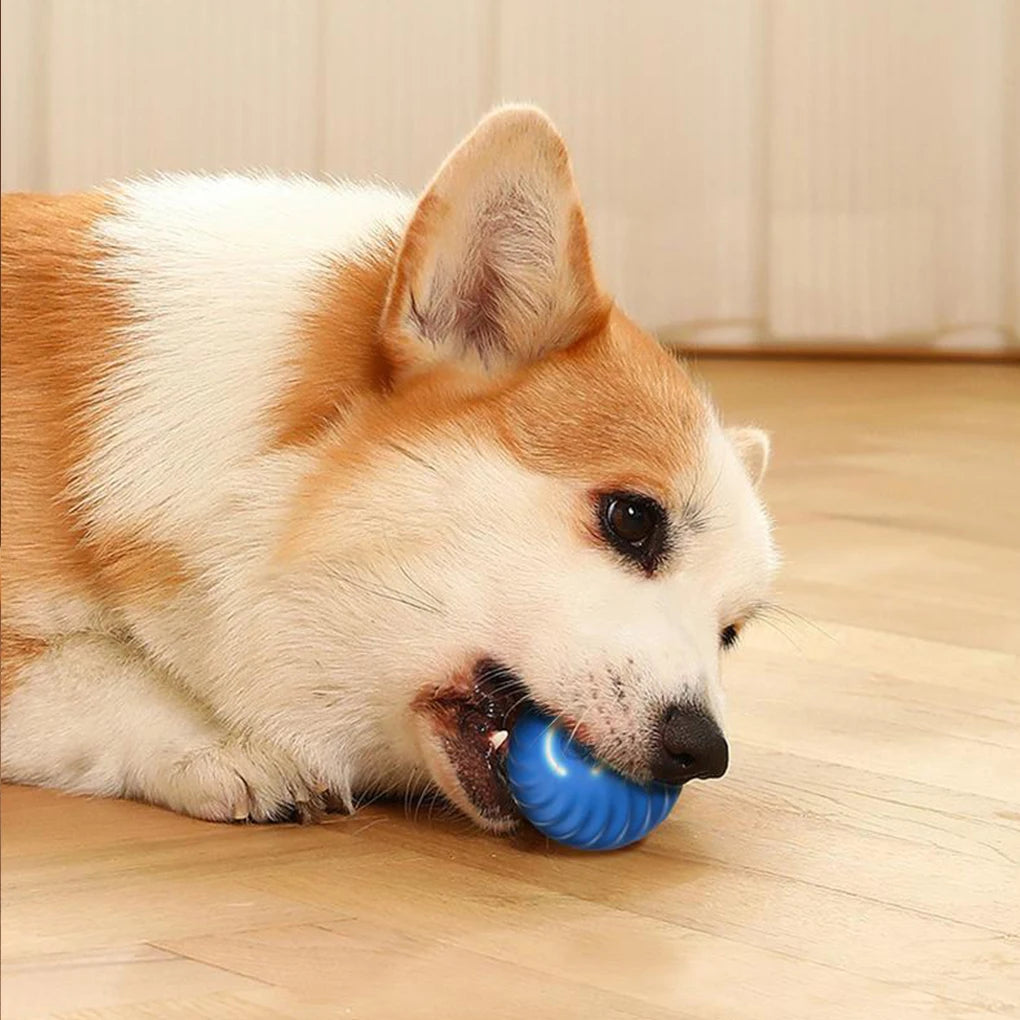 Wear-Resistant Rolling Ball Intelligent And Durable Toy For Energetic Dogs Revolutionary TPR Blue