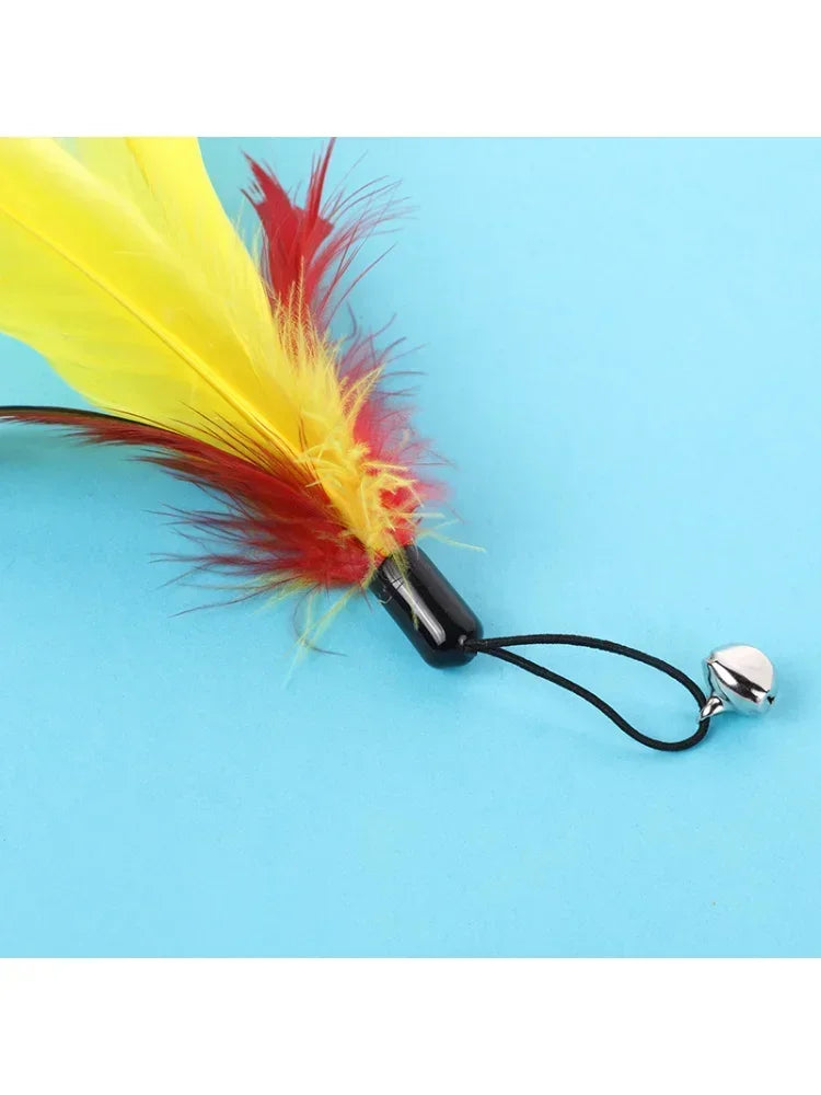 Rod Cat Cat Head with Interactive Cat Fishing Toy Color Feather Toy Pet Funny Toys Feather Bell Replacement Toy