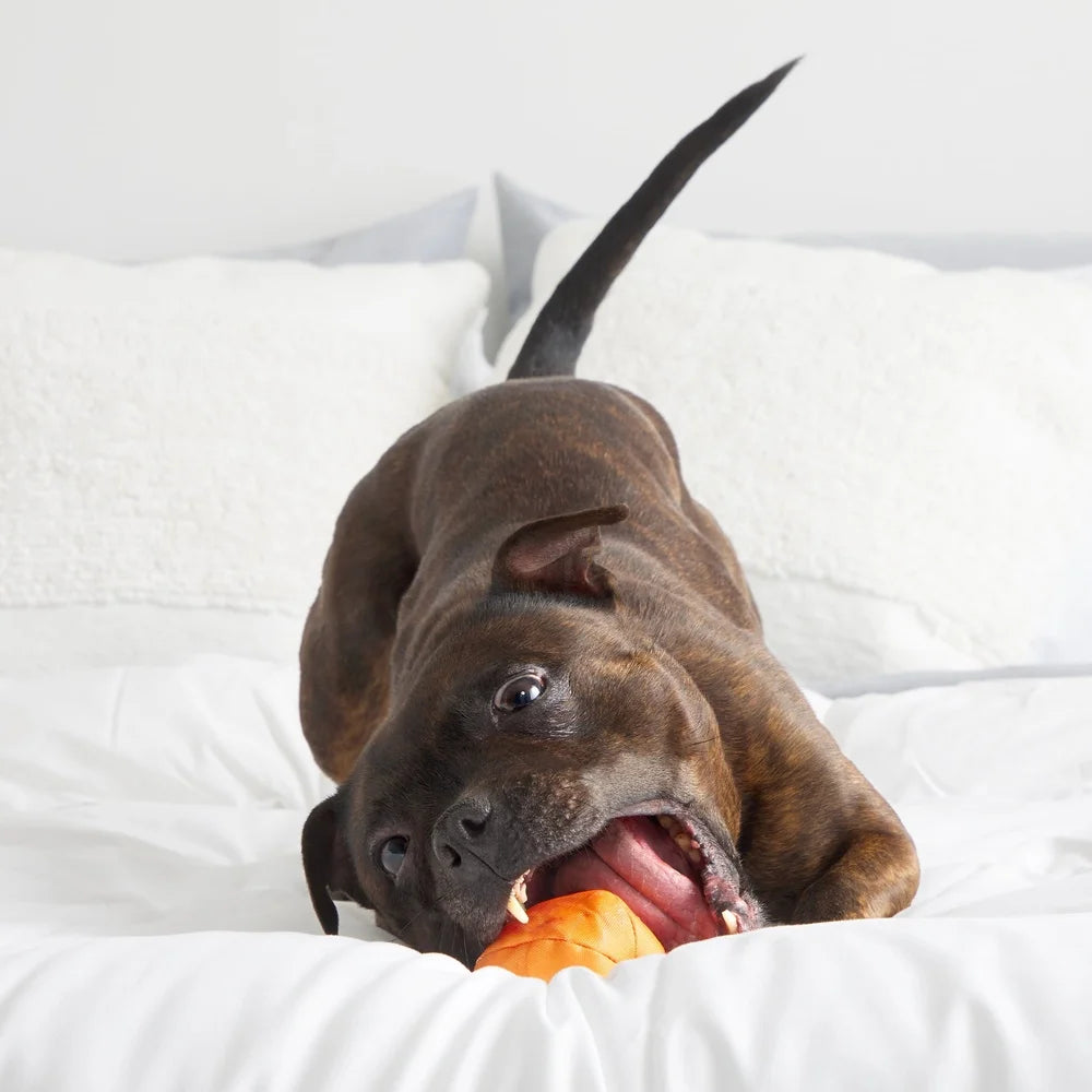 Orange Crush Super Chewer Dog Toy Rip Reveal Treat Holder Plush Rubber Durable Chewable Fun Interactive Medium Dogs