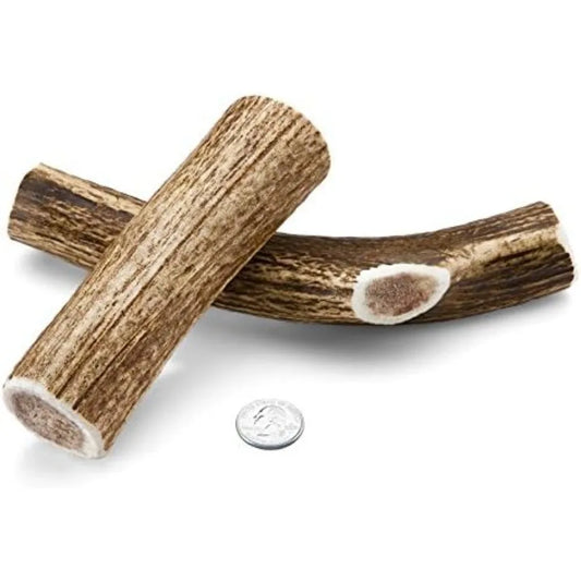 Medium Whole Elk Antler 2 Pack - Elk Antler Dog Chew - Grade A Premium - Organic - Made in USA - No Mess