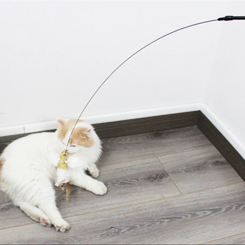 Pet Head Rod Wire Toys Cat Cat Funny Interactive Cat Accessories Stick Replaceable Bell Fish Fishing Feather Funny Rod Teaser