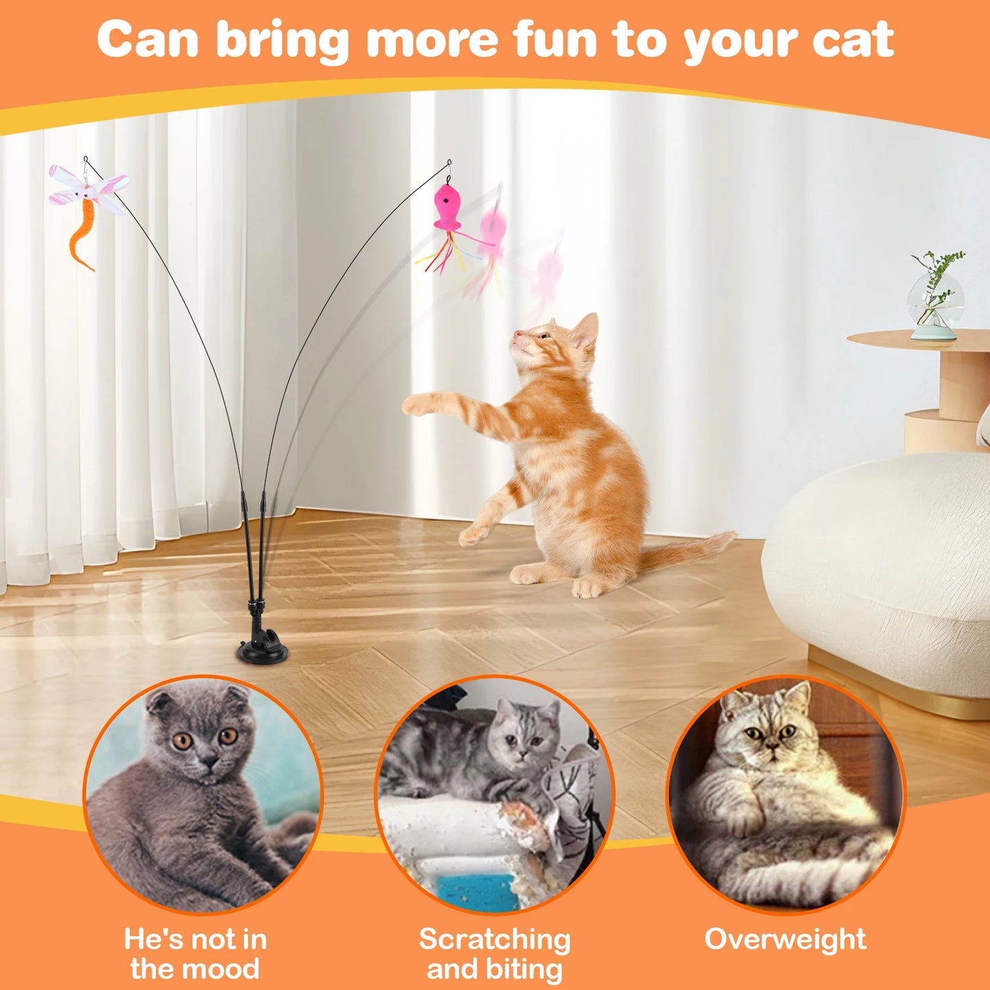 Pet Cat Toy Set Replacement Head Toy Suit Multifunction Handfree Cat Toy Stick Detachable for Cat Training Playing Accessories