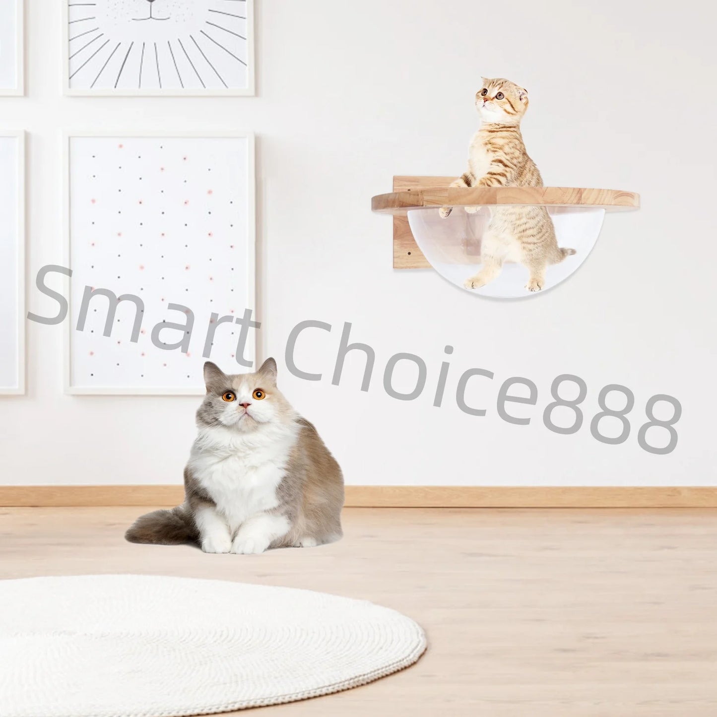 Cat Space Capsule Space Capsule-style Transparent Cover Cat Bed Small Pets Bed Cat Toy Cat Furniture Pet Supplies