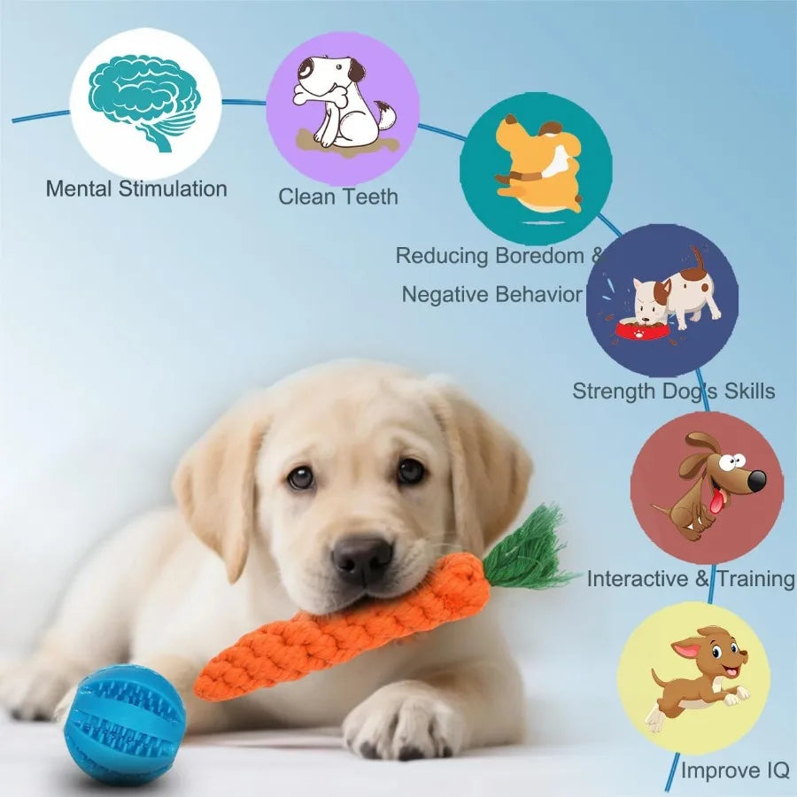 15Pack Interactive Dog Toys for Teeth Cleaning and Puppy Teething Relief: Squeaky Treat Balls Rope Chew Toys and Durable Rubber