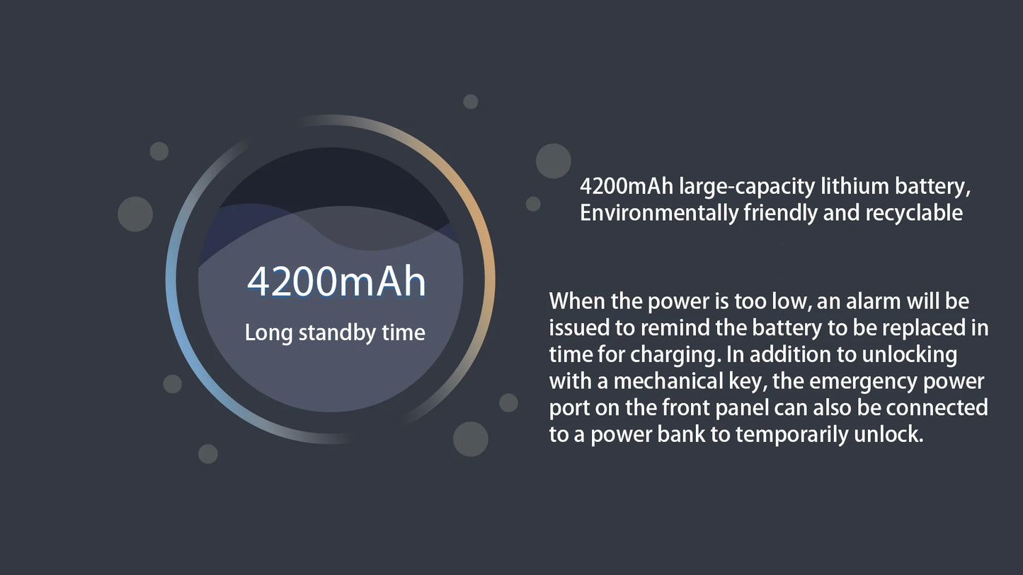 Waterproof Outdoor Smart  Lock Wifi Alexa Tuya APP Aluminium Alloy Material Fingerprint Password Smart Door Lock With Camera