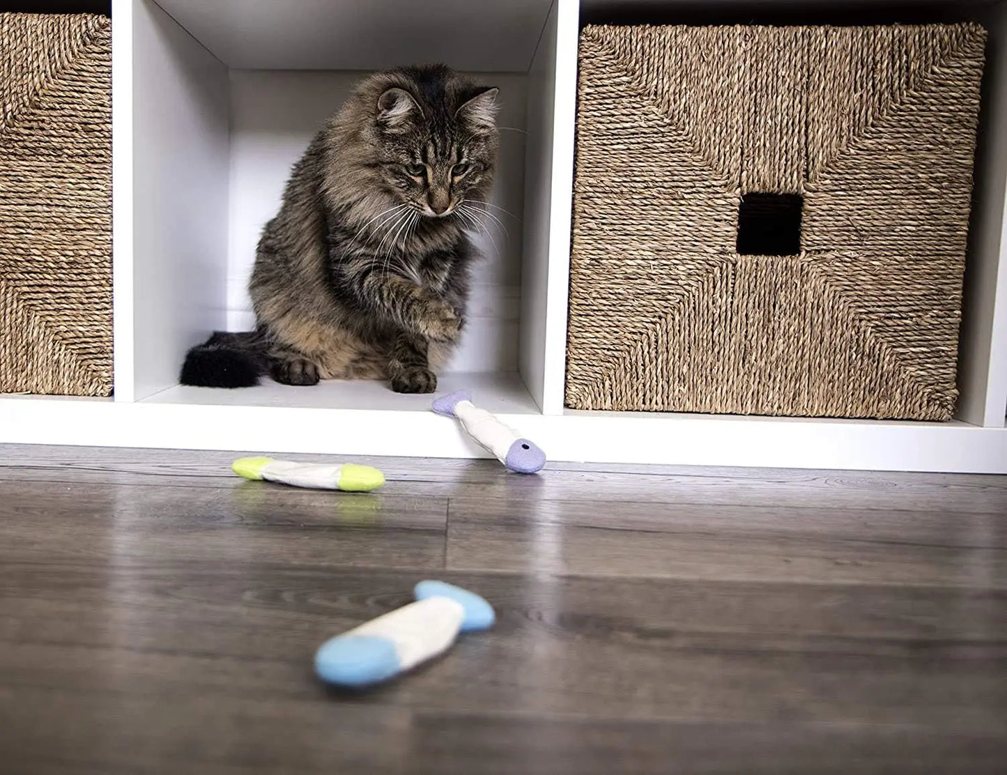 (3 pieces) Fish floor fold cat clip toy - multi-color, 3 pieces