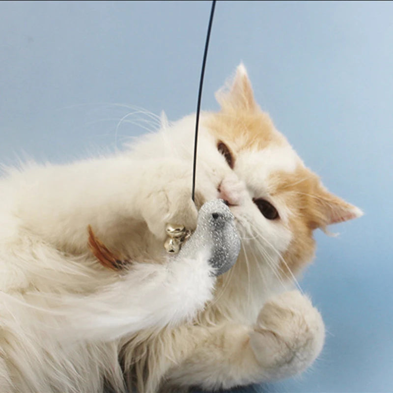 Pet Head Rod Wire Toys Cat Cat Funny Interactive Cat Accessories Stick Replaceable Bell Fish Fishing Feather Funny Rod Teaser