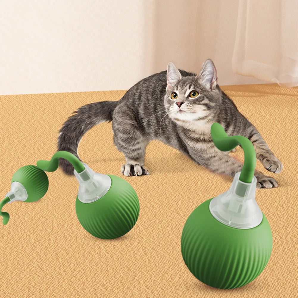 Cat Interactive Ball Toys Automatic Rolling Ball Rechargeable Fast Rolling Ball Anti-Depression Pet Toy for Indoor Cats