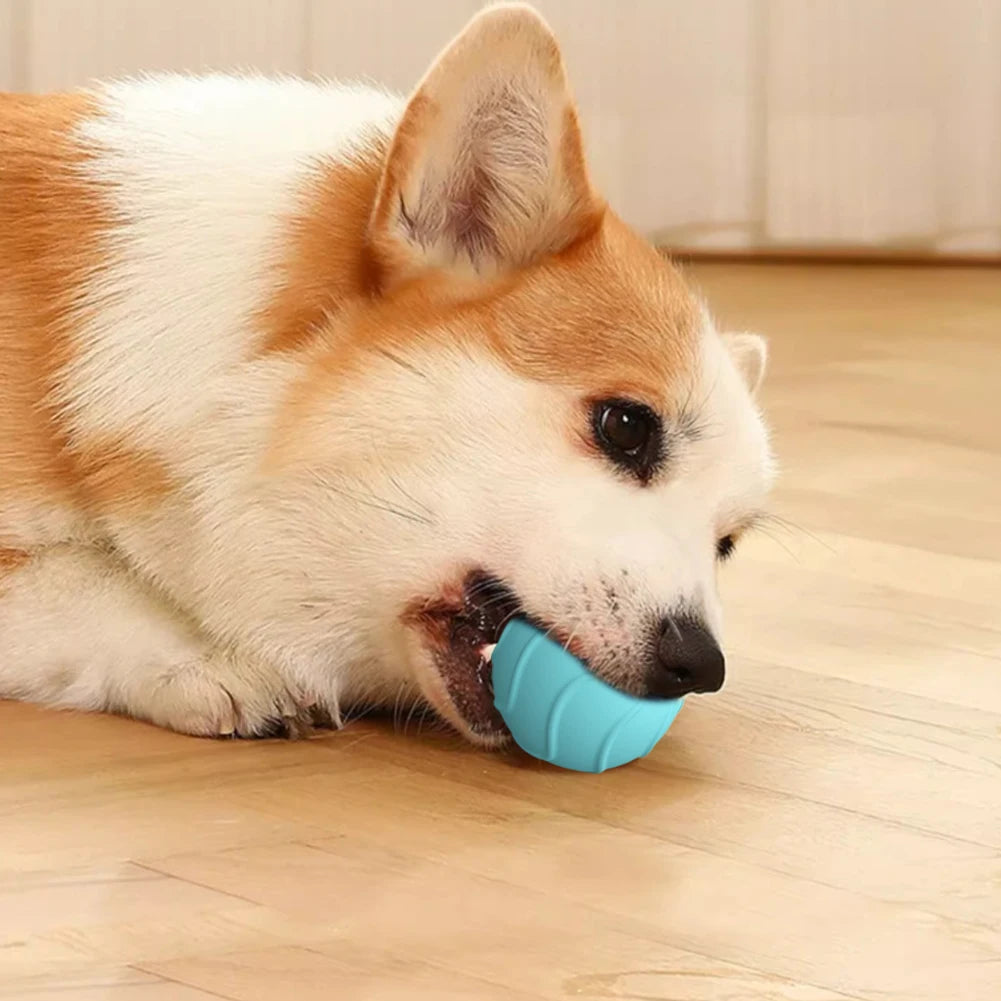 Cat Rolling Ball Obstacle Avoidance Interactive Cat Toy Ball USB Rechargeable Automatic Bouncing Ball Electric Pet Supplies