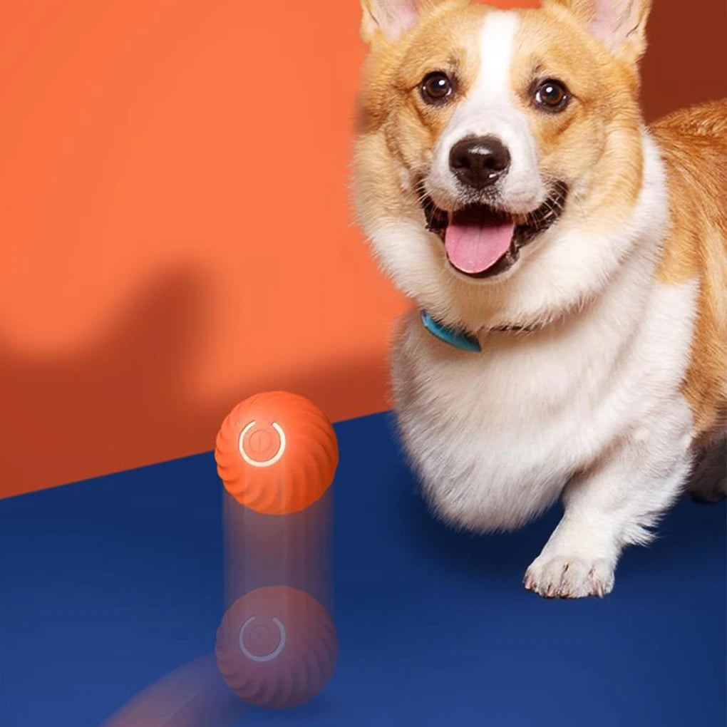 Wear-Resistant Rolling Ball Intelligent And Durable Toy For Energetic Dogs Revolutionary TPR Blue