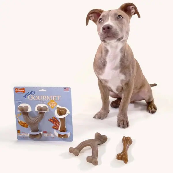 Gourmet Style Strong Puppy Bundle Chew Toy - Bacon Peanut Butter - Small - 2ct