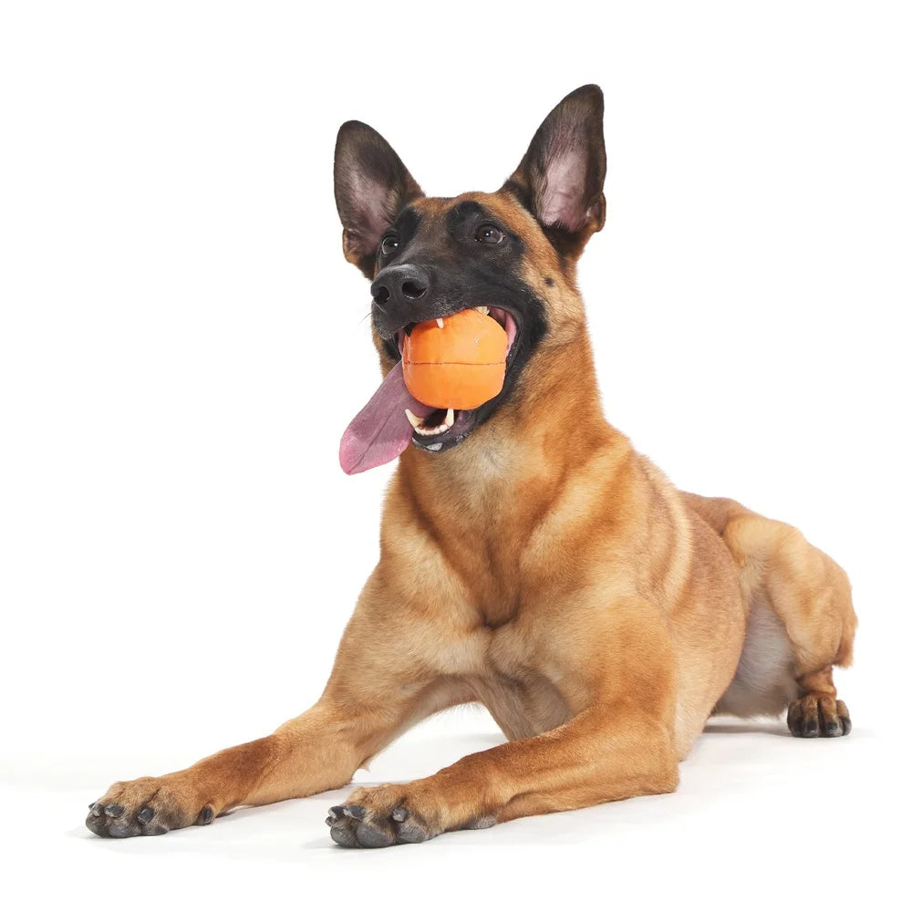 Orange Crush Super Chewer Dog Toy Rip Reveal Treat Holder Plush Rubber Durable Chewable Fun Interactive Medium Dogs