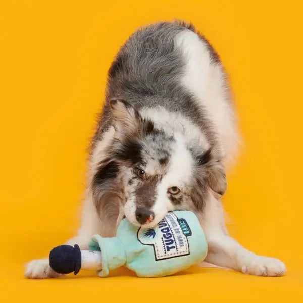 Tug-O-Worm Tugquila Dog Toy